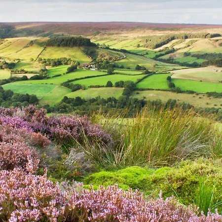 Gowland פיקרינג