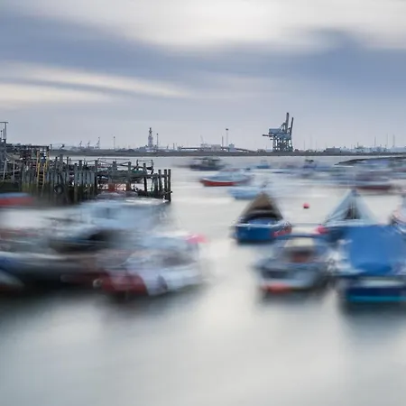 Gowland * פיקרינג