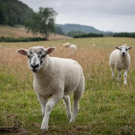 Gowland בית נופש פיקרינג