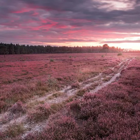 펜션 Gowland 피커링