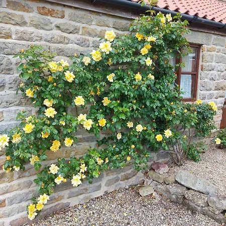 Gowland 펜션 피커링